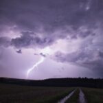 Profilbild von Cumulonickbus